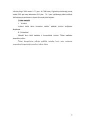 Korepetitoriavimas 10 puslapis