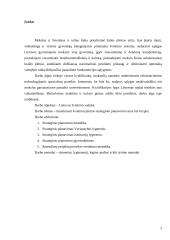 Švietimo vadyba Lietuvoje 2 puslapis