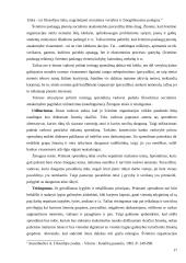 Švietimo vadyba Lietuvoje 17 puslapis