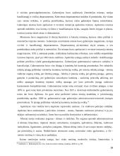 LDK valdymas po 1963 m. sukilimo 18 puslapis