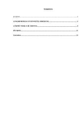 Senoji Lietuvos medinė architektūra