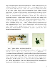 Senoji Lietuvos medinė architektūra 5 puslapis