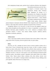 Senoji Lietuvos medinė architektūra 7 puslapis