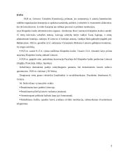 Vienpartinės sistemos įtvirtinimas Lietuvoje 2 puslapis