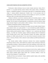 Vienpartinės sistemos įtvirtinimas Lietuvoje 4 puslapis