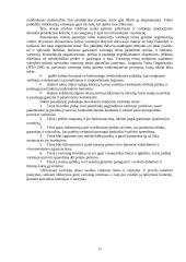 Tarnybos etika 11 puslapis