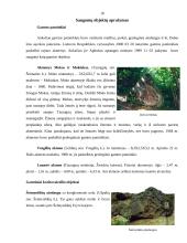 Utenos regiono saugomos teritorijos ir objektai 17 puslapis