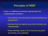 Thinking Patterns: Goals  15 puslapis