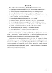 Žmogaus gyvenimo periodizacija 10 puslapis