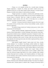 Žmogaus gyvenimo periodizacija 2 puslapis