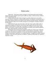 Žuvys ir varliagyviai 3 puslapis