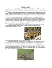 Žuvys ir varliagyviai 4 puslapis