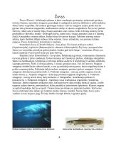 Žuvys ir varliagyviai 5 puslapis