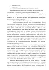 Nuteistųjų autoagresijos pataisos įstaigose motyvacija ir prevencijos galimybės 14 puslapis