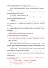 Nuteistųjų autoagresijos pataisos įstaigose motyvacija ir prevencijos galimybės 6 puslapis