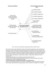 Nuteistųjų, paleistų Iš laisvės atėmimo vietų, socialinės, profesinės bei psichologinės adaptacijos ypatumai 18 puslapis