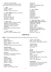 Lietuvių kalbos klaidos 2 puslapis