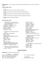 Lietuvių kalbos klaidos 3 puslapis