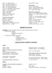 Lietuvių kalbos klaidos 4 puslapis