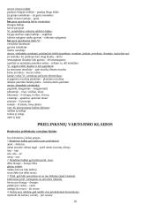 Lietuvių kalbos klaidos 10 puslapis