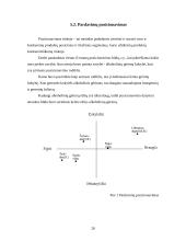 Alkoholinių gėrimų vartojimo priežastys Kauno mieste 20 puslapis