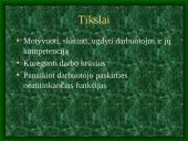 Delegavimas 2 puslapis