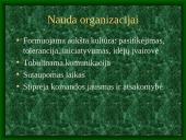 Delegavimas 4 puslapis