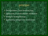 Delegavimas 6 puslapis