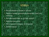 Delegavimas 9 puslapis