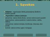 Sąvokos, valdymo funkcijos ir procesai, jų psichologiniai aspektai 2 puslapis