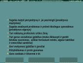 Sąvokos, valdymo funkcijos ir procesai, jų psichologiniai aspektai 9 puslapis