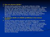 Stresas darbe 3 puslapis