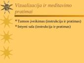 Streso schema 7 puslapis