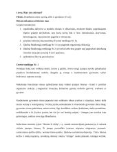 Modulis: Stresas ir jo įveikimas. Mokymo planas 2 puslapis