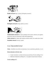 Modulis: Stresas ir jo įveikimas. Mokymo planas 6 puslapis