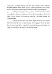 Utenos kraštotyros muziejaus sociokultūrinis statusas visuomenėje 7 puslapis