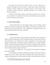 Subjektinės teisės samprata 11 puslapis