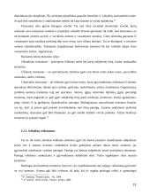 Subjektinės teisės samprata 13 puslapis