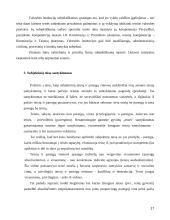 Subjektinės teisės samprata 17 puslapis