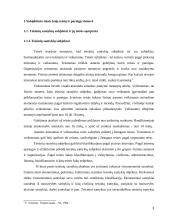 Subjektinės teisės samprata 3 puslapis