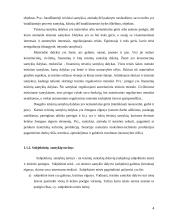 Subjektinės teisės samprata 4 puslapis