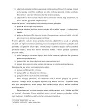 Subjektinės teisės samprata 5 puslapis