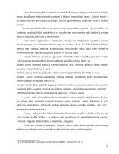 Subjektinės teisės samprata 6 puslapis