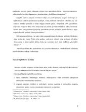 Teisėkura ir jos teisinis reglamentavimas Lietuvoje referatas 8 puslapis