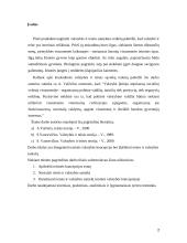 Teisės ir valstybės santykis referatas 2 puslapis