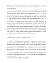Teisės norma referatas 7 puslapis