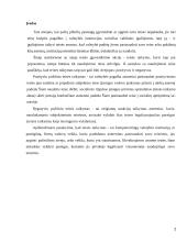 Teisės normų taikymo aktas, jo rūšys 2 puslapis