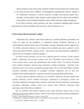 Teisės normų taikymo aktas, jo rūšys 5 puslapis