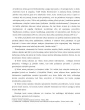 Teisės normų taikymo aktas, jo rūšys 6 puslapis