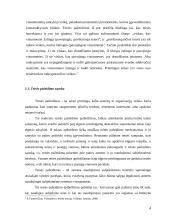 Teisės pažeidimai ir jos rūšys 4 puslapis